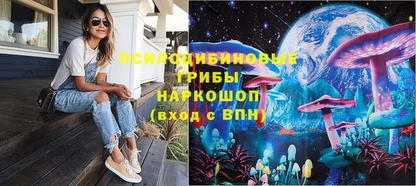мяу мяу мука Горняк
