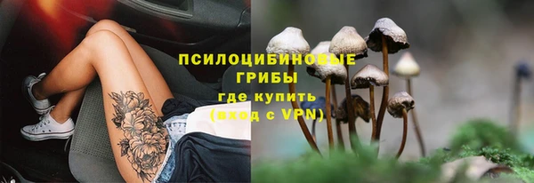индика Гусиноозёрск