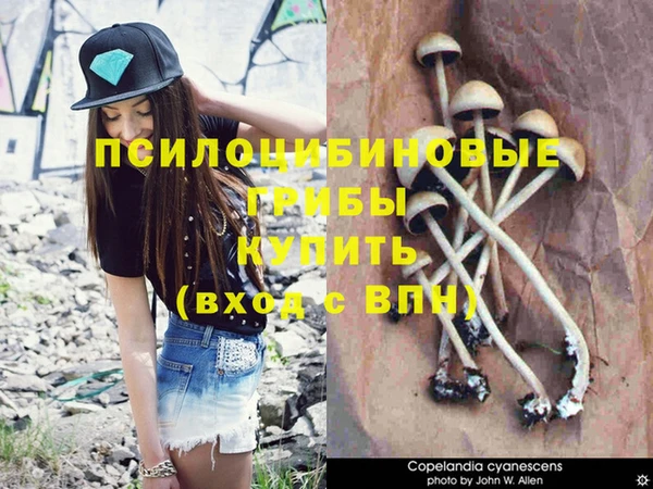 PSILOCYBIN Михайловск