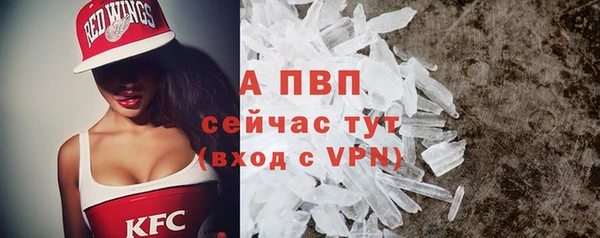 кокс Михайлов