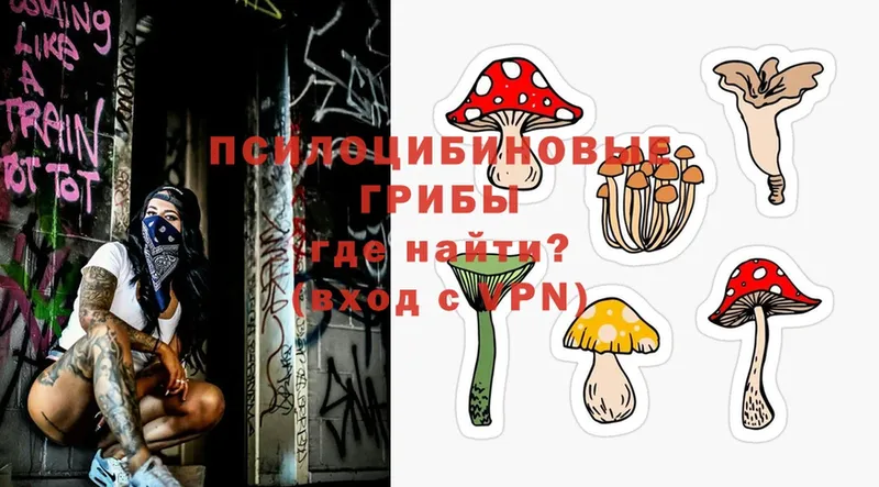 Галлюциногенные грибы Psilocybine cubensis  hydra ССЫЛКА  Дегтярск 