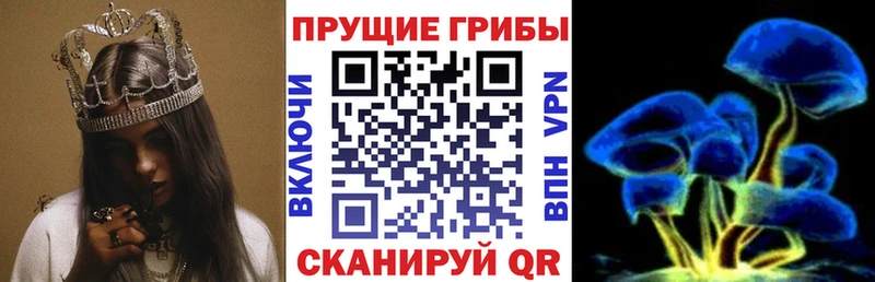 Псилоцибиновые грибы Psilocybine cubensis  Дегтярск 